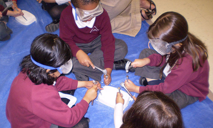 Create a realistic image of a diverse group of young children (ages 4-6) of various races working together on a collaborative art project in a Montessori classroom, showing empathy and cooperation as they share materials and ideas, with natural light streaming through large windows, colorful artwork on the walls, and wooden Montessori materials neatly arranged on low shelves in the background.